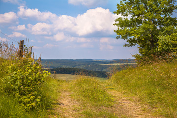 Fototapeta na wymiar Walking trail on a Hill in a Green Summer Landscape