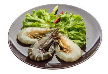 King and waterleg shrimps