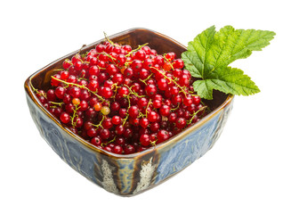 Red currant