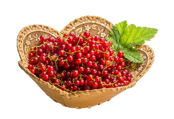 Red currant
