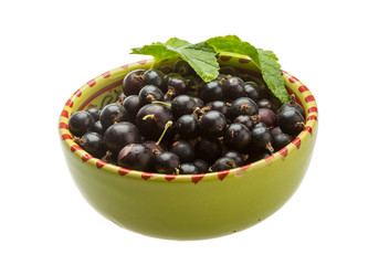 Black currant