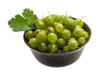 Gooseberry