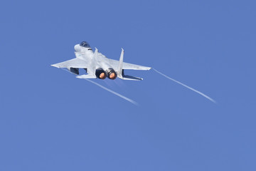 Fighter Jet