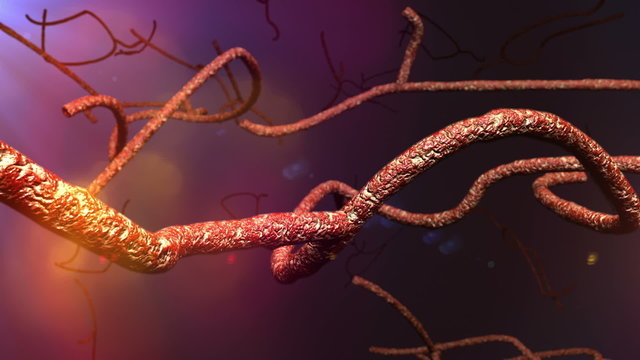 Microscopic Ebola Virus 3D animation