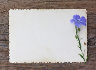 Wild blue flower and old empty paper form on an old wooden backg