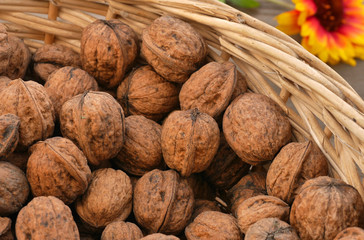 Korb voll Walnüsse