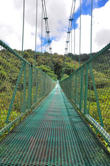 Hängebrücke im Regnewald