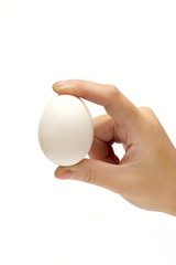 Fototapeta na wymiar Egg on the white background