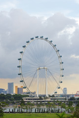 Fototapeta premium The biggest Ferris wheel
