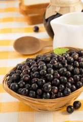 black currants in bowl