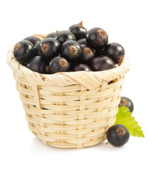 black currants on white