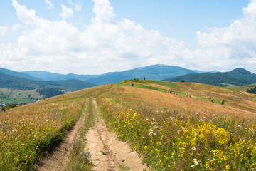 Obraz premium Dirt road against the landscape in the Ukrainian Carpathians