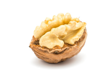 walnut isolated