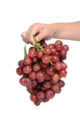 Holding Grapes
