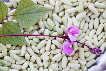 green beans,close-up