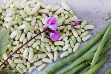 pods Green beans top view