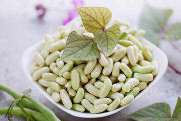 Green beans in a bowl
