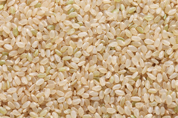 brown rice, japanese healthy food