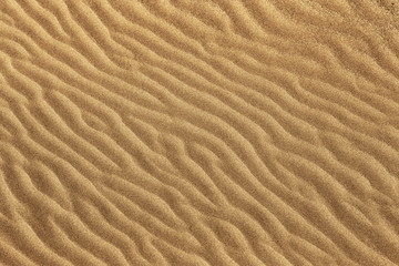 Golden fine grain beach sand wavy texture. Beach sand backdrop.