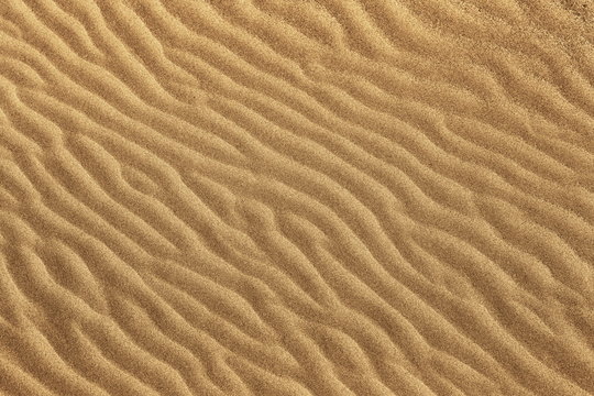Golden fine grain beach sand wavy texture. Beach sand backdrop.