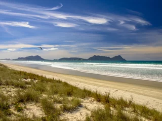 Foto auf Acrylglas Neuseeland White Sand Beach in Waipu mit wunderschönem blauem Himmel