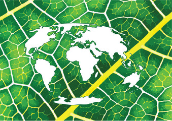 world map and  globe Illustration