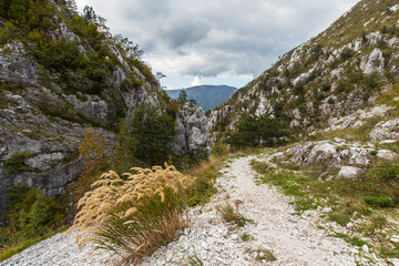 Obraz premium Scenic hiking path in the mountains in autumn