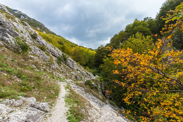 Scenic hiking path in the mountains in autumn