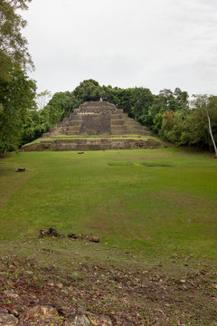 Jaguar Temple with Field