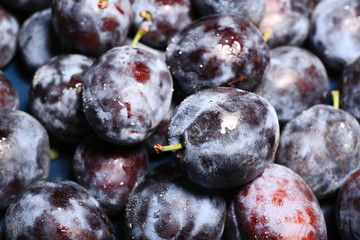 Ripe sweet plums, close up