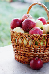 apples on the table