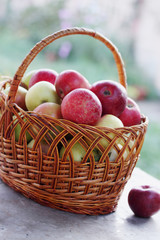 organic apples on the table