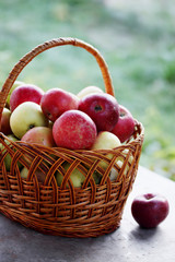 basket of apples