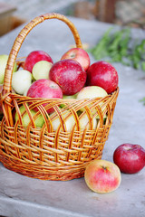 basket of fruits
