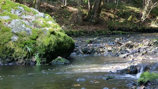 Gebirgsbach im Triebtal Vogtland