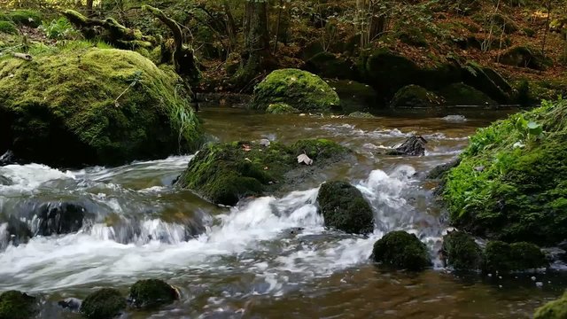 Gebirgsbach im Triebtal Sachsen Vogtland 