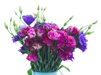 bunch  of  violet and mauve eustoma flowers