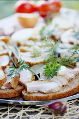 Canapes of Ukrainian lard