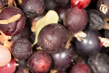 currants. close-up
