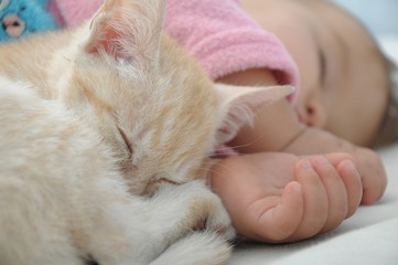 Baby and cat daytime sleeping