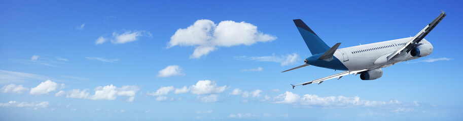 Jet cruising in a blue sky