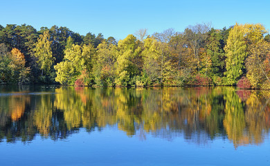 Fototapeta na wymiar Trees on the shore of lake in autumn