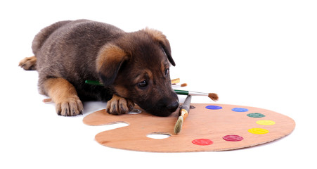 Puppy playing with a palette and brush isolated on white