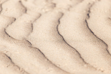 background of sand