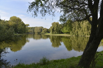 Fototapeta na wymiar L'automne au parc de Neerpede à Anderlecht