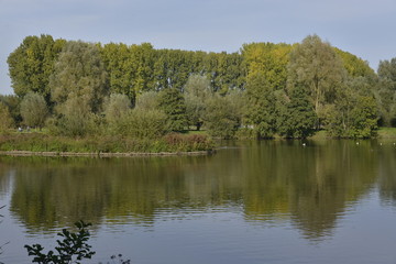 Fototapeta na wymiar Paysage automnale au grand étang de Neerpede