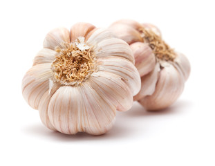 garlic isolated
