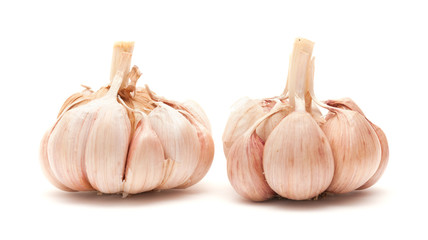 garlic isolated