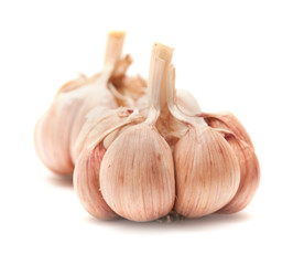 garlic isolated
