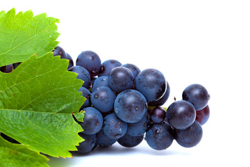 dark grapes isolated
